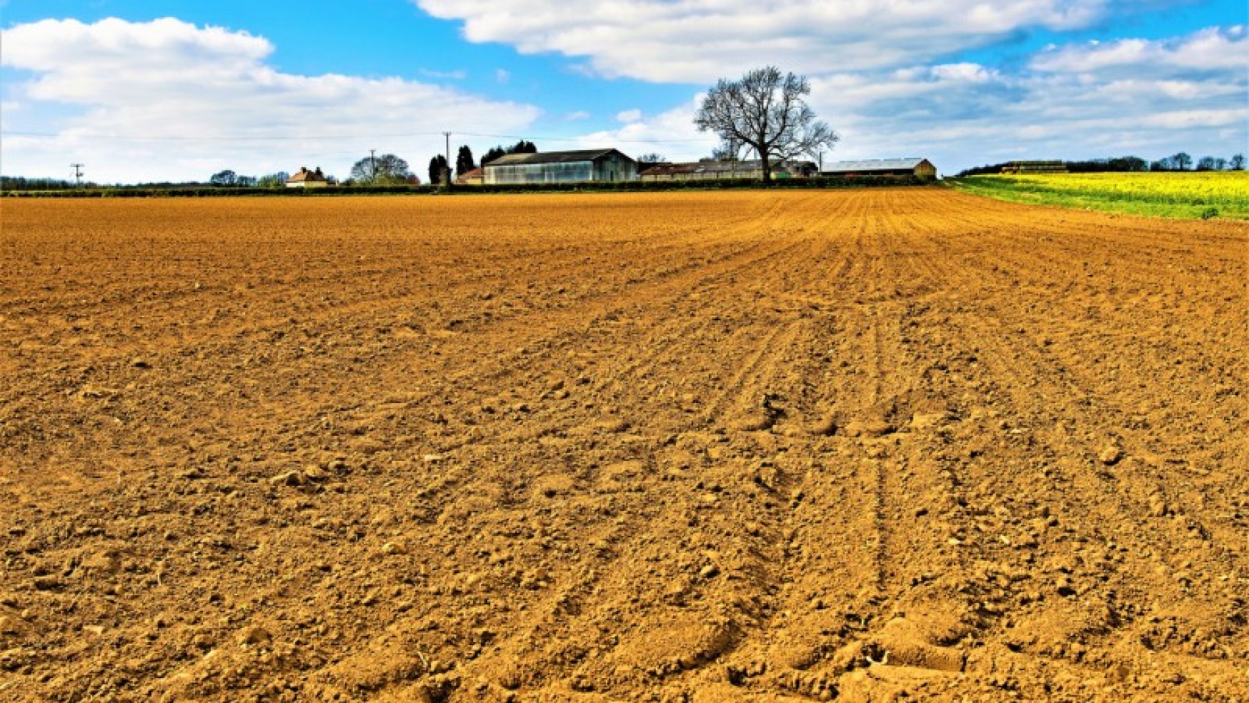 UE, LEGGE DI NATURA: TUTELARE LE AREE NATURALI A RISCHIO E RIPRISTINARE QUELLE DEGRADATE