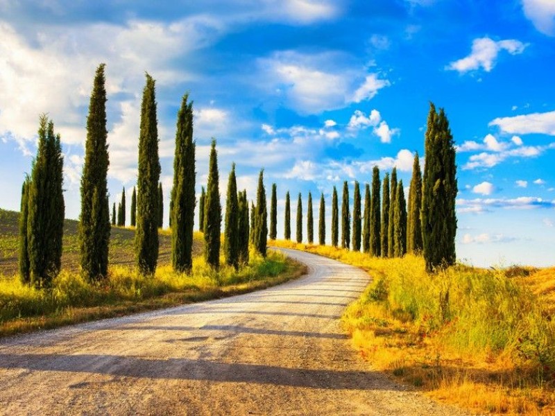 a-piedi-in-toscana-lungo-la-via-francigenacstevanz-292