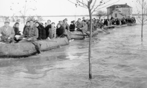 polesine-alluvione-2