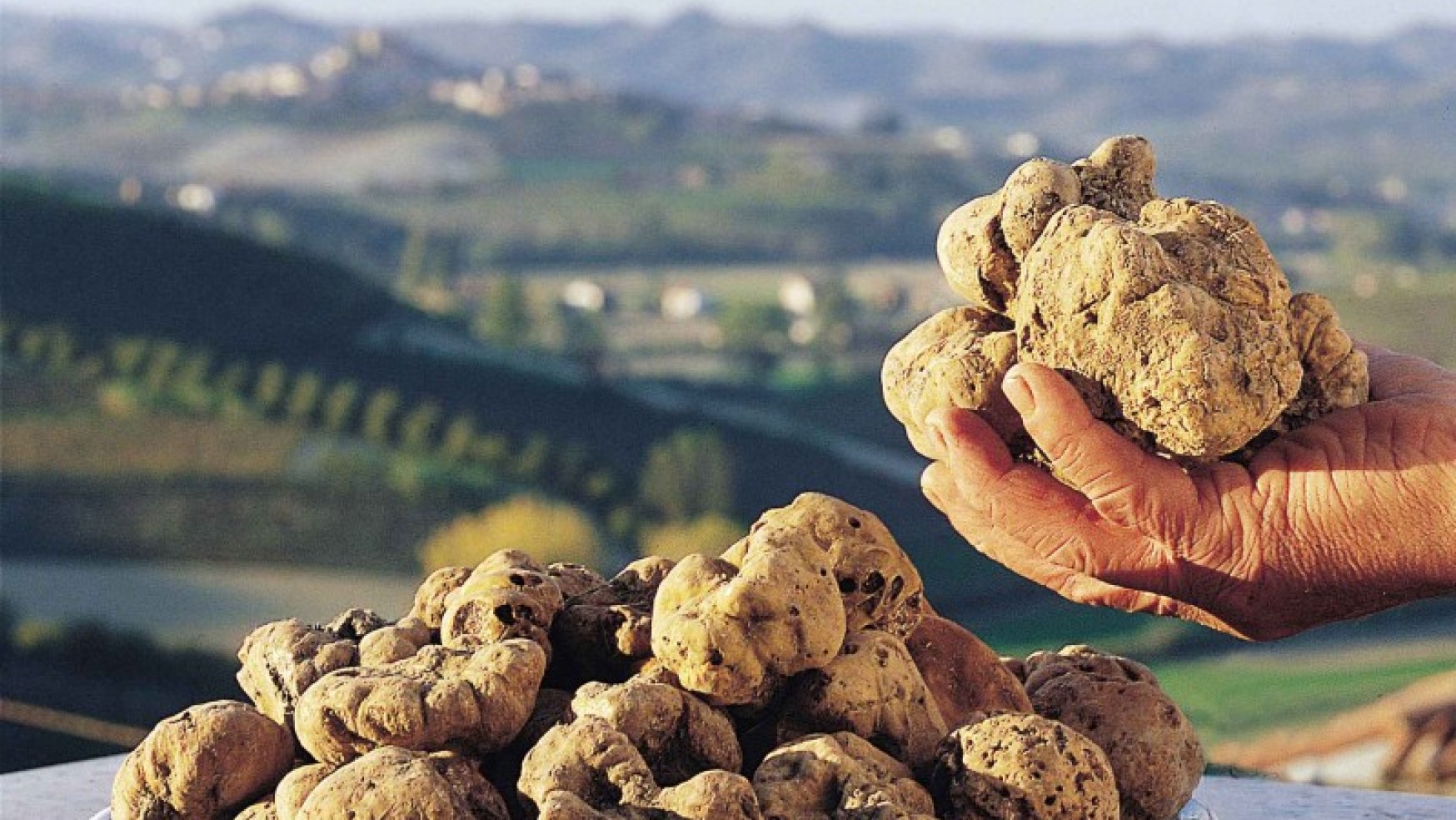 “ECCELLENZE PIEMONTESI”: TARTUFO D’ALBA E GOLF IN CAMPO