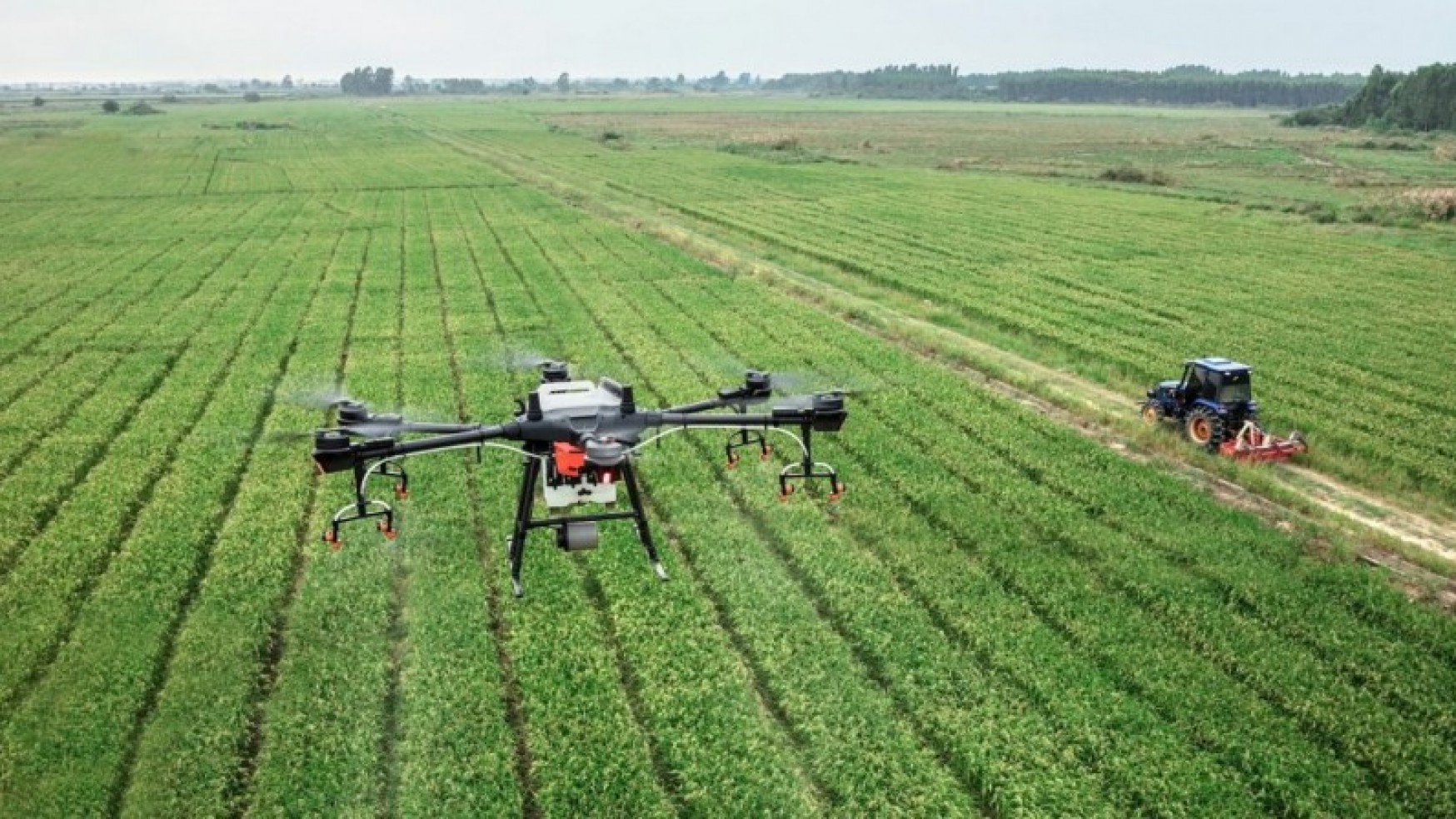 INTESA SANPAOLO: NUOVO PROGRAMMA PER STARTUP DI AGRITECH  E FOODTECH