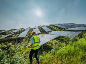 CAMPO FOTOVOLTAICO