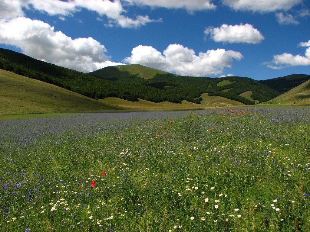 Parco Nazionale dei Marche Sibillini - Marche-Umbria (Foto di Giovanni Dala - 2010)