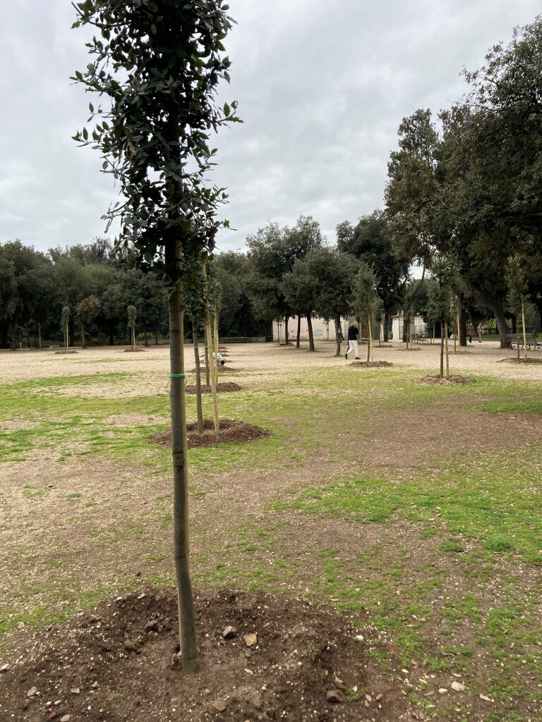 villa-borghese-extra